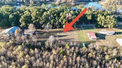 William Dannelly Reservoir Lot For Sale in Camden Alabama