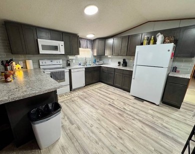 William Dannelly Reservoir Home For Sale in Camden Alabama