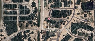 Lake Marion - Polk County Lot For Sale in Poinciana Florida