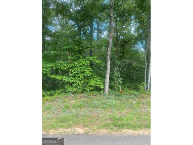 Lake Lanier Lot For Sale in Flowery Branch Georgia