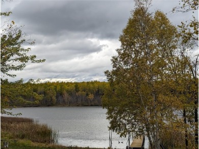 Lake Lot For Sale in Great Scott Twp, Minnesota