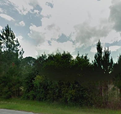 Lake Marion - Polk County Lot For Sale in Poinciana Florida