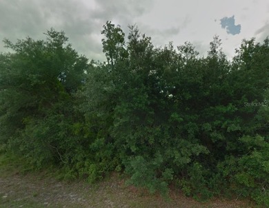 Lake Marion - Polk County Lot For Sale in Poinciana Florida