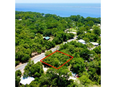 Discover the Undiscovered Florida! Lanark is an adorable little - photo 1