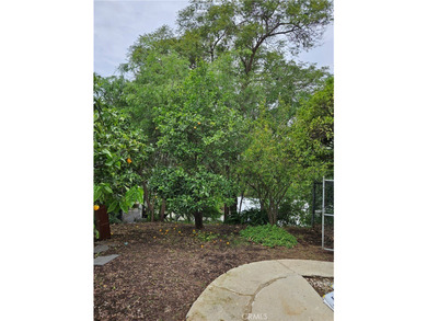 26349 Hillcrest Ave - photo 39