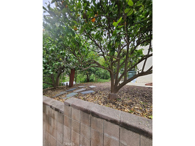 26349 Hillcrest Ave - photo 40