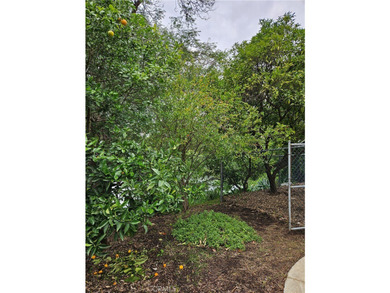 26349 Hillcrest Ave - photo 41