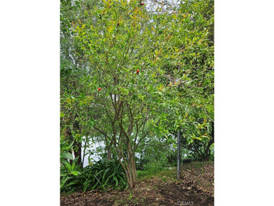 26349 Hillcrest Ave - photo 42