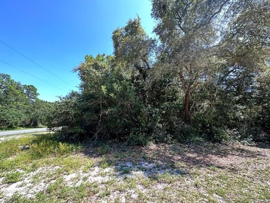 Here is your opportunity to own a beautiful lot in Lanark - photo 3