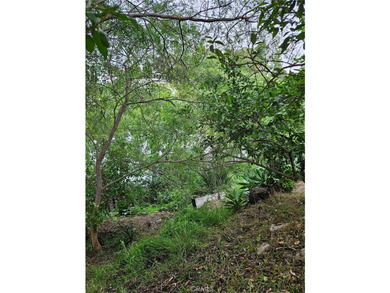 26349 Hillcrest Ave - photo 46
