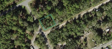 Here is your opportunity to own a beautiful lot in Lanark - photo 6