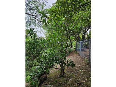 26349 Hillcrest Ave - photo 48