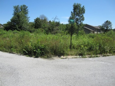 Cedar Lake - Lake County Lot Sale Pending in Cedar Lake Indiana