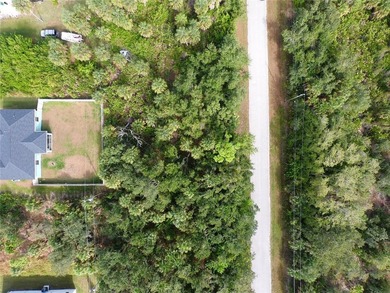 Discover a WONDERFUL OPPORTUNITY to build your dream home on - photo 3