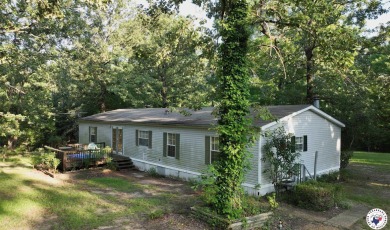 Lake Home For Sale in Fouke, Arkansas