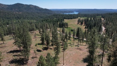 (private lake, pond, creek) Acreage For Sale in Deer Park Washington