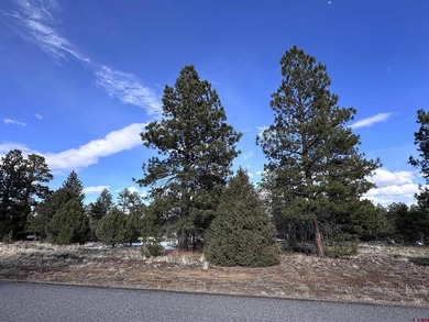 Leslie A Musselmann, Vision Real Estate Investments, C:,,: Don't - photo 12