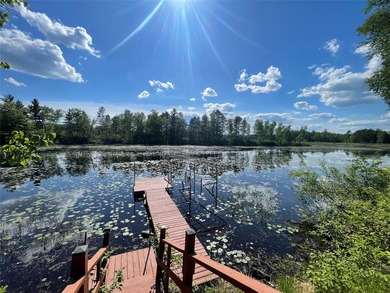 Experience Northwoods lake living at its finest in this - photo 14