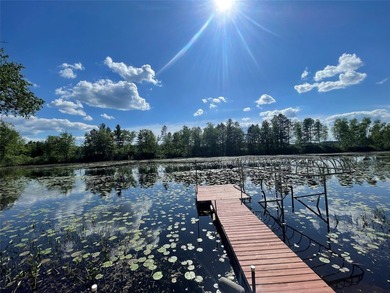 Experience Northwoods lake living at its finest in this - photo 15