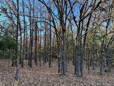 Exceptional rural community located just one mile from Keystone - photo 2
