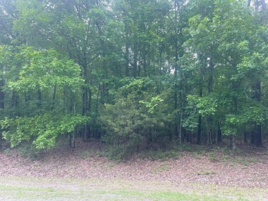 Greers Ferry Lake Lot For Sale in Fairfield Bay Arkansas