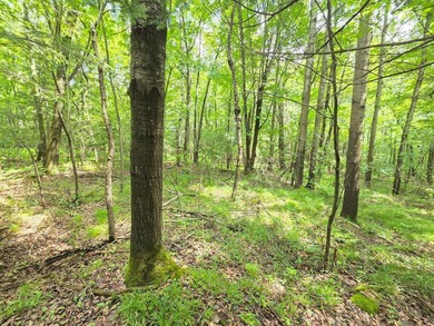 Musser Lake Acreage Active Under Contract in Phillips Wisconsin