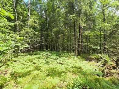 Additional listing photo 3