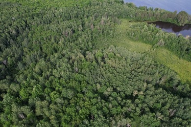 (702/AS) It's time to make your Northwoods dreams come true - photo 8