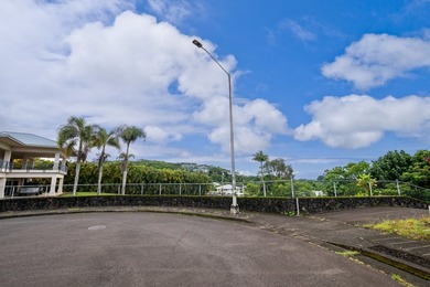 Rare opportunity to own a cleared vacant lot of just over half - photo 15