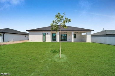 Welcome to the Emerald Model, a stunning brand-new construction - photo 36