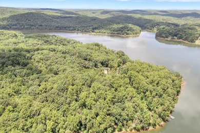 Leesville Lake Lot For Sale in Pittsville Virginia