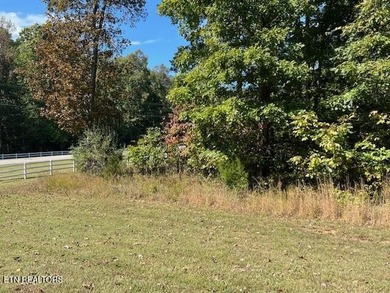 Watts Bar Lake Lot For Sale in Rockwood Tennessee