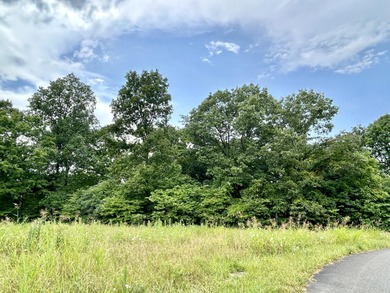 Great Lot to Build your Dream Home on! 4.28 acres in a Great - Lake Acreage For Sale in Ferguson, Kentucky