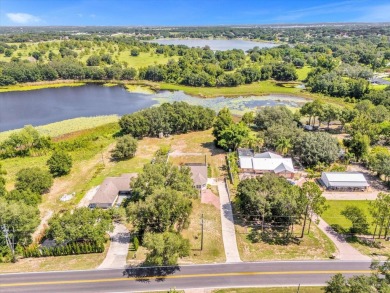 (private lake, pond, creek) Home For Sale in Clermont Florida