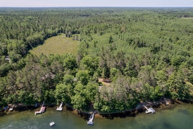 Discover a rare gem on the pristine shores of Vandercook Lake in - photo 6