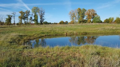 (private lake, pond, creek) Acreage For Sale in Chelsea Michigan