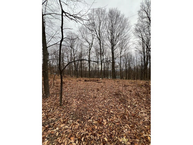 Raystown Lake Lot For Sale in James Creek Pennsylvania