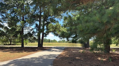 Nestled on 3+ acres just minutes from Lake Athens, this - photo 2