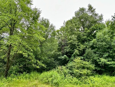 Additional listing photo 4