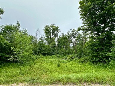 Additional listing photo 1