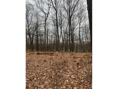 Raystown Lake Lot For Sale in James Creek Pennsylvania
