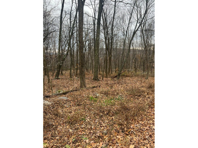 Located just minutes from Tatman Run Park, Raystown Lake, Lake - photo 3