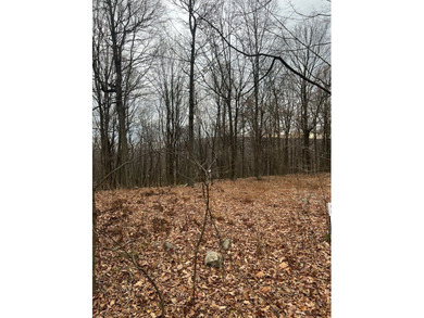 Located just minutes from Tatman Run Park, Raystown Lake, Lake - photo 4
