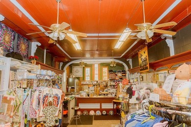 Unique Commercial and Residential Opportunity in the Heart of - photo 48
