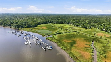 Brand-new construction in Harmony Township, a private Lowcountry - photo 2