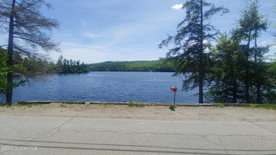 Brant Lake Lot For Sale in Horicon New York
