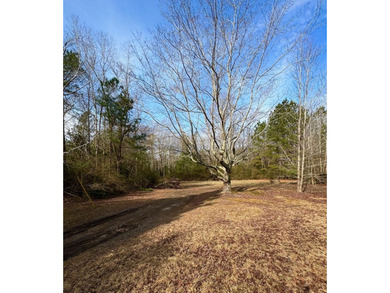 Level, wooded building site in Heathsville - photo 3