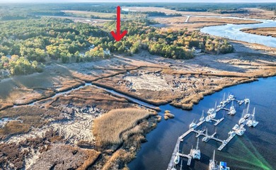 Harmony is back! DIRECT RIVERFRONT CORNER LOT. New ownership is - photo 1