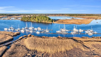 Harmony is back! DIRECT RIVERFRONT CORNER LOT. New ownership is - photo 3
