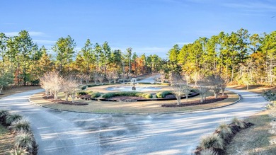 Harmony is back! DIRECT RIVERFRONT CORNER LOT. New ownership is - photo 7